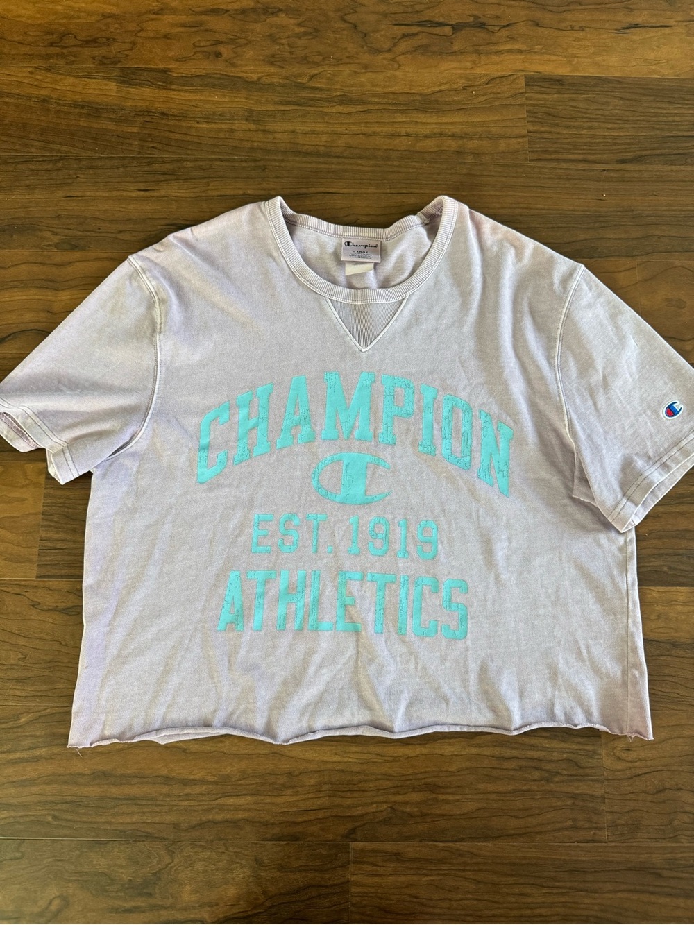 Champion Lavender Crop Tee with Mint Graphic Logo